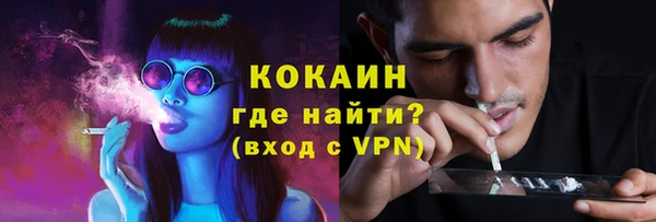 apvp Белокуриха