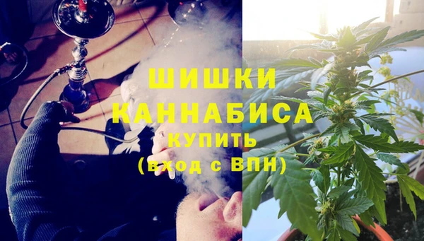 apvp Белокуриха
