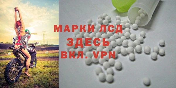 apvp Белокуриха